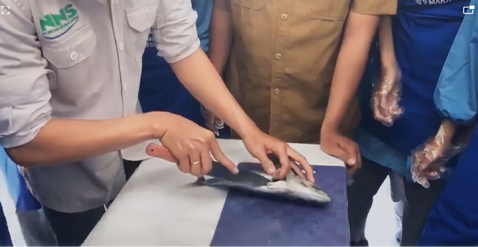 Tingkatkan Nilai Ekonomis Ikan, Inilah Cara Membuat Surimi Lezat ala SMKN 9 Makassar